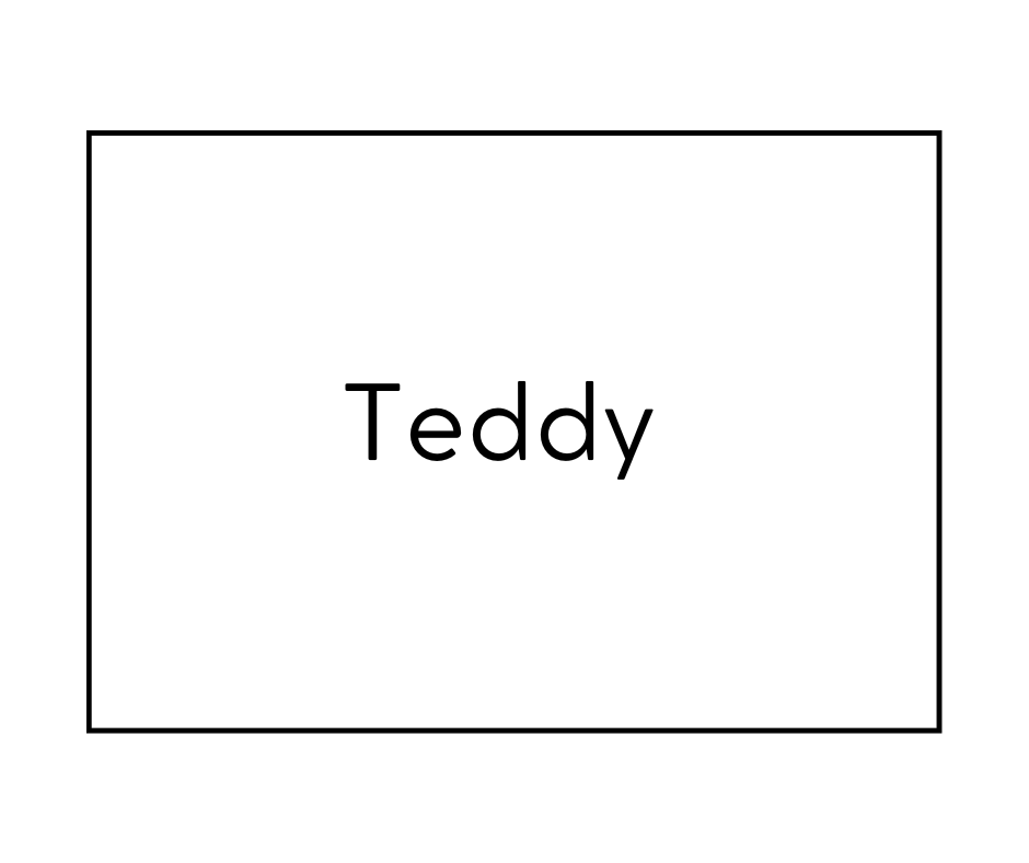 Teddy